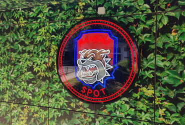 Decoração de parede com vinil impresso e logotipo em Neon LED